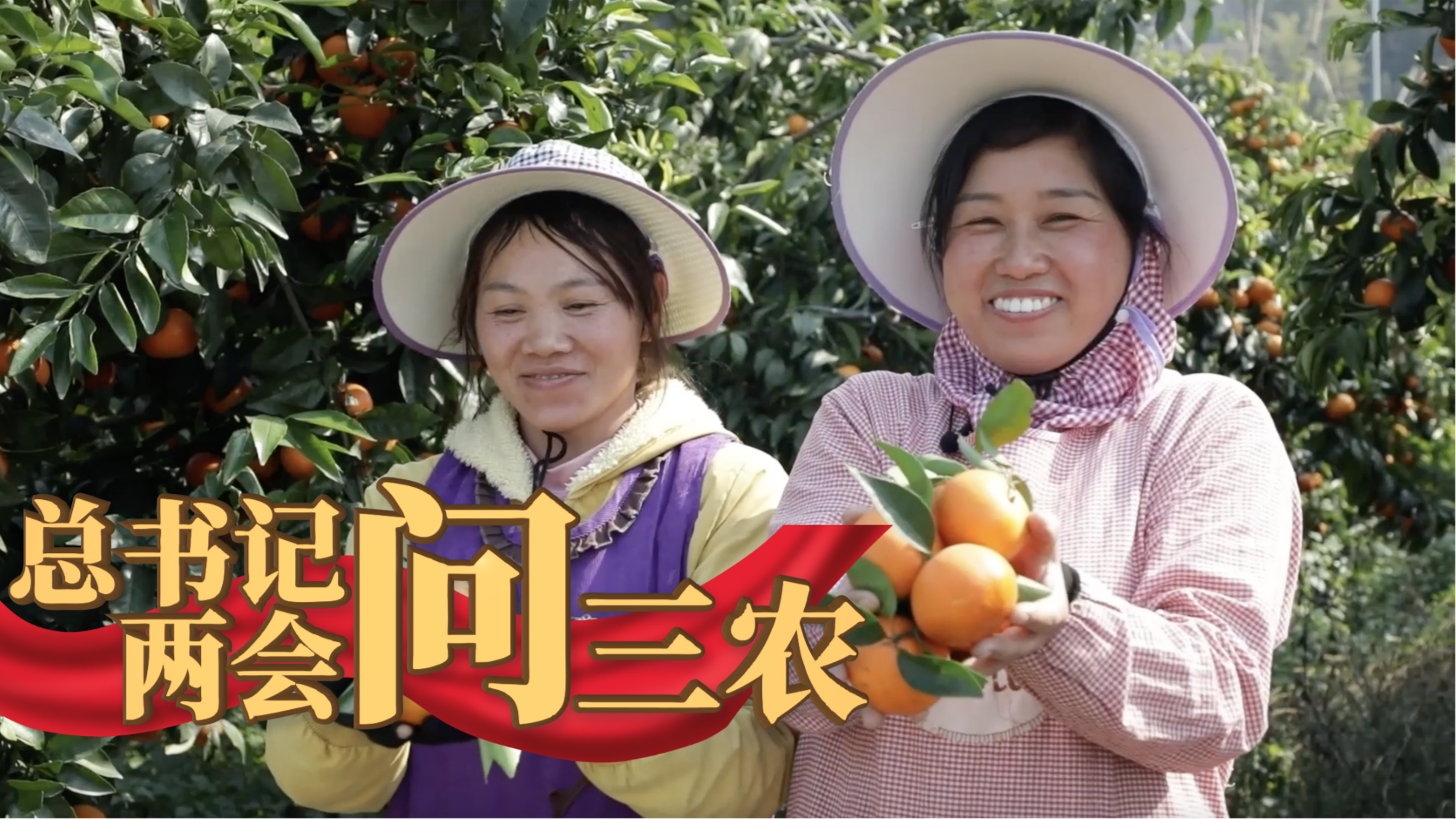 总书记两会问三农